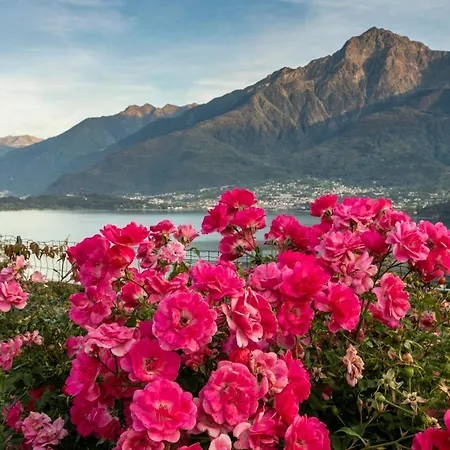 La Collina Dei Fiori Lägenhet *