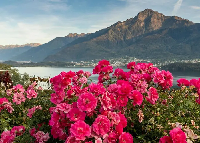 La Collina Dei Fiori Daire *