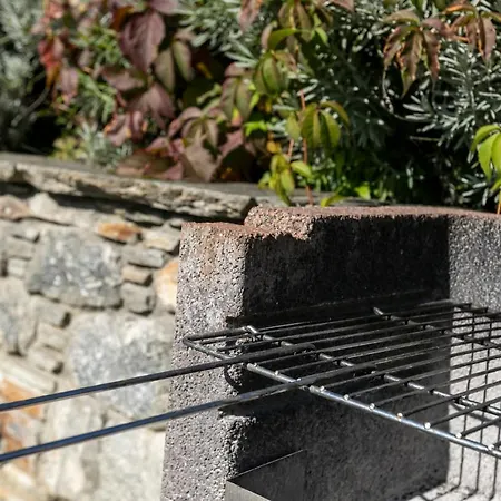 La Collina Dei Fiori *